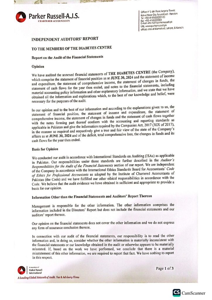 Audit Report – 2024